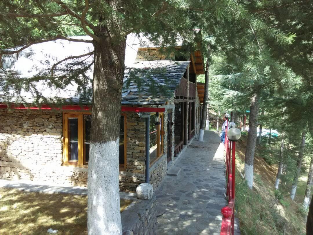 Rajgarh Hills酒店 外观 照片